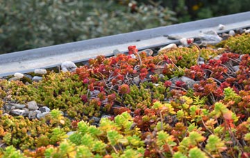 the cost of Windwhistle green roof installation